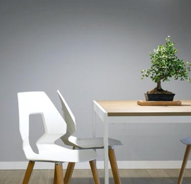 Table and chair with bonsai.